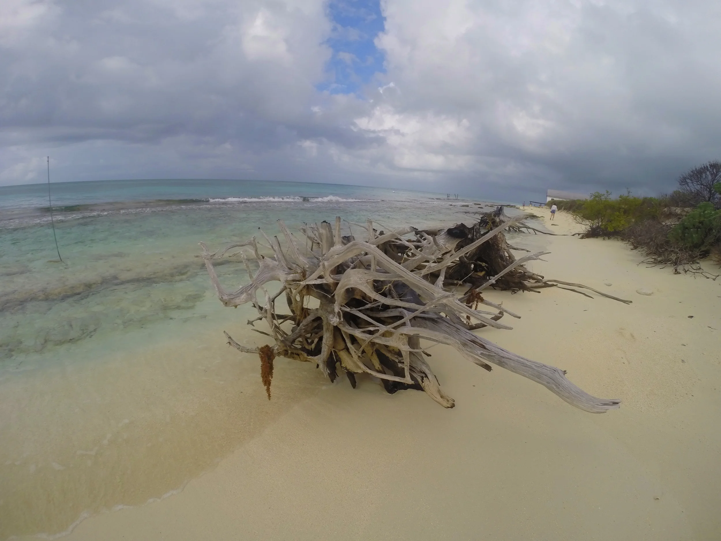 GOPR0281.JPG