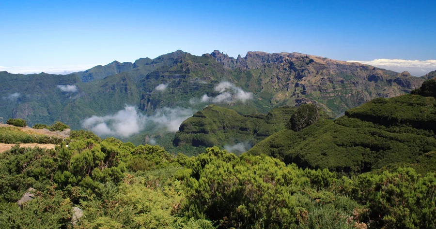 Madeira Portugal. Nature knows how to take care of itself.
