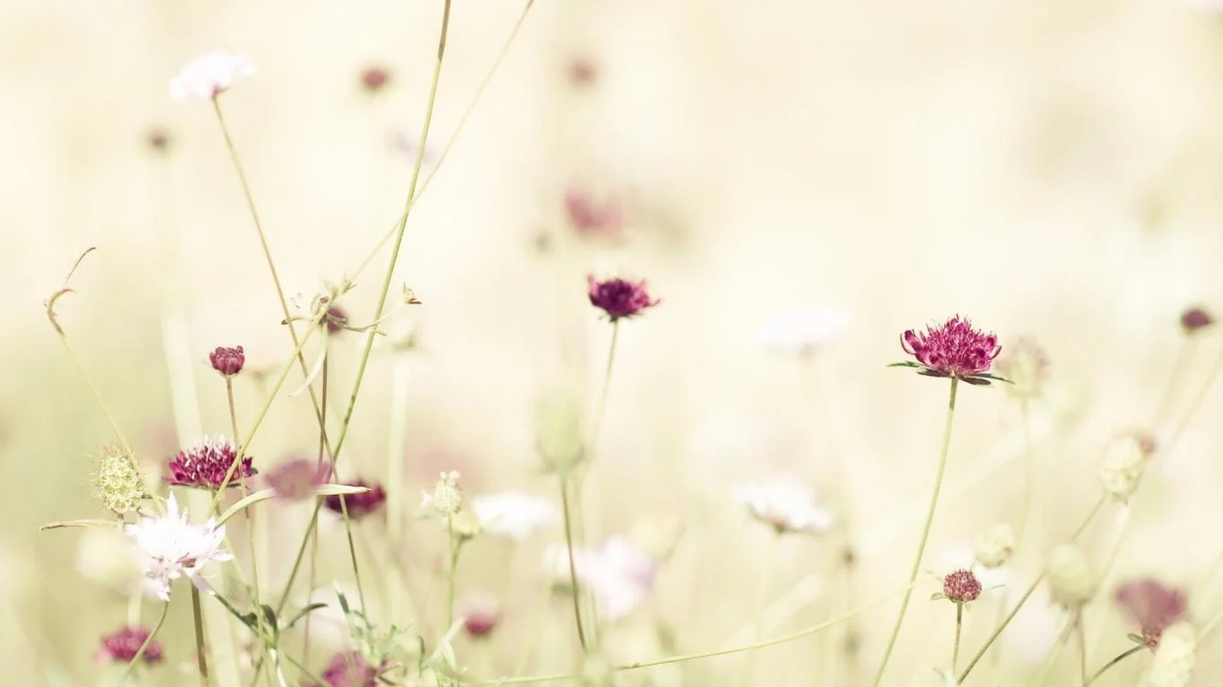 Flower-Wallpaper-Tumblr.jpg