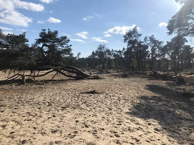 Wat een geweldig gebied, complete rust en super weer!