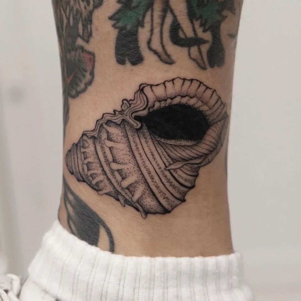 Beautiful shell by @yahelkfirtattoos
For appointments or a free consultation.