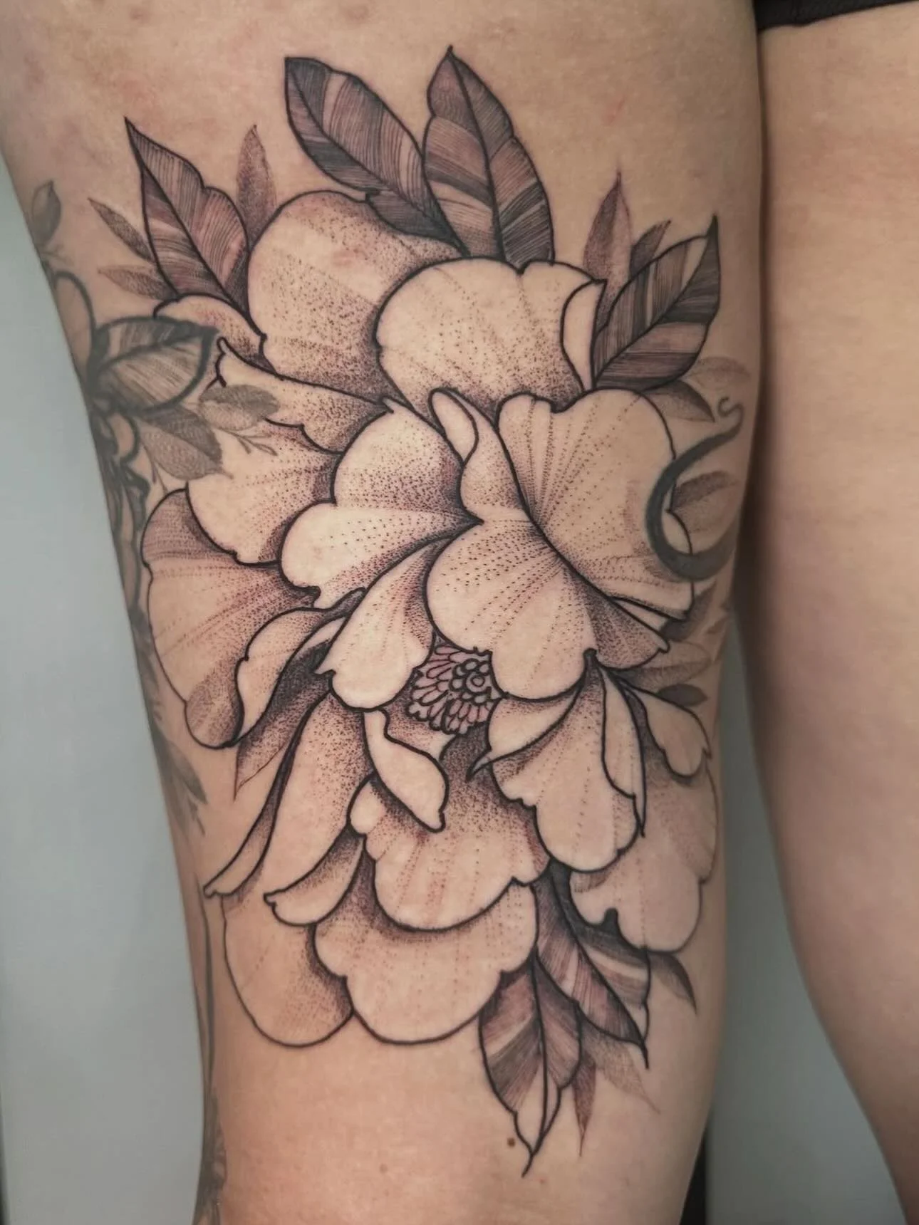 This is your sign to book in for that big beautiful botanical tattoo you&rsquo;ve always been thinking about 😻🌺🌸✨ DM @marjunglm for an appointment or free consultation ✍️