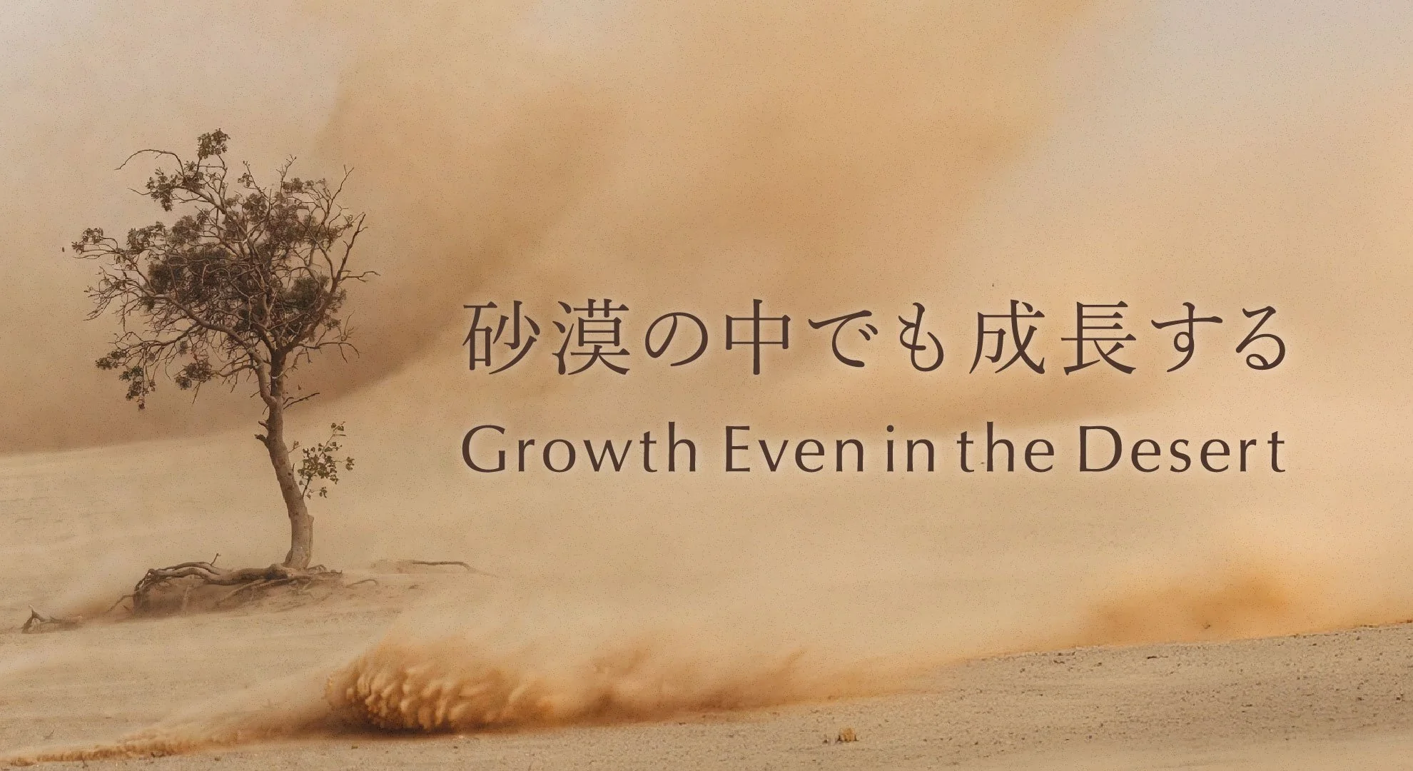砂漠の中でも成長する.jpg