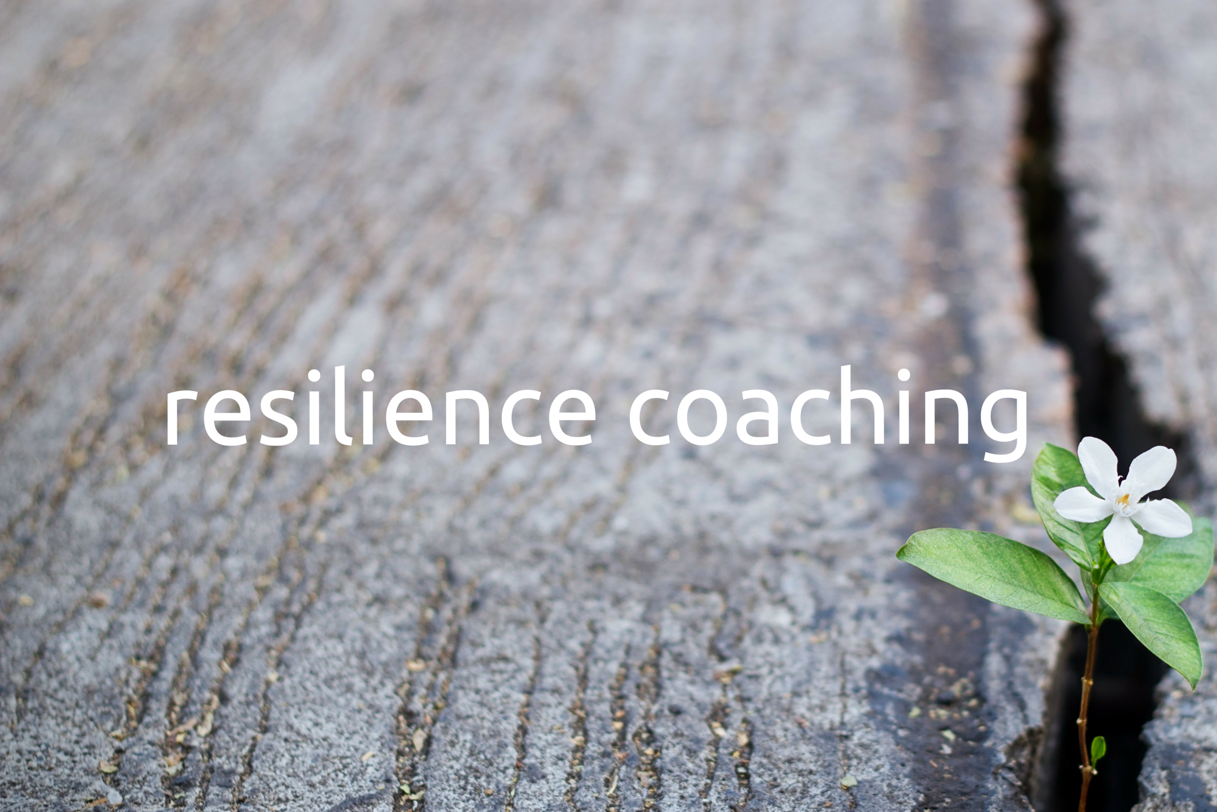 Resilience Coaching-2.png