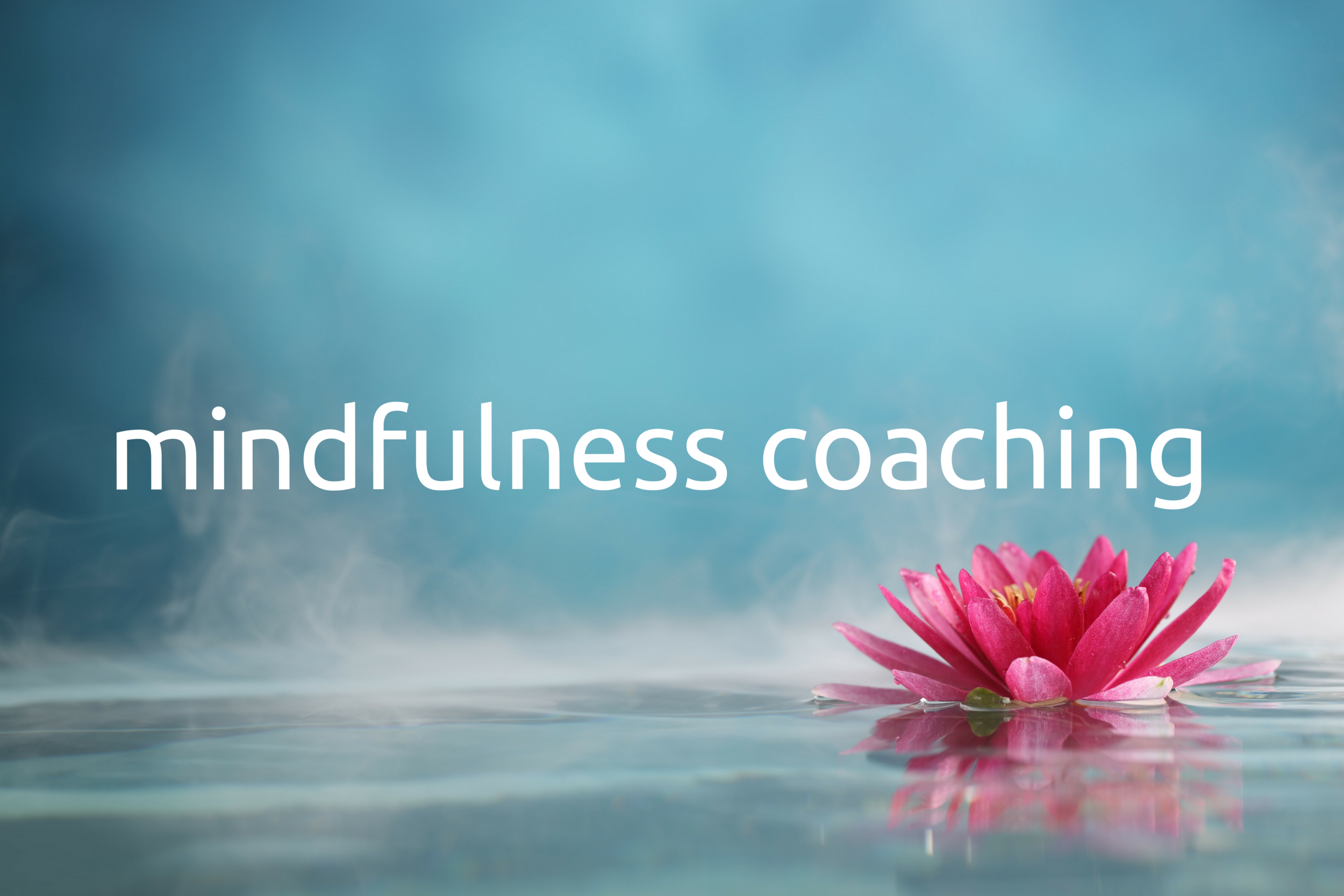 mindfulness coaching flower.png