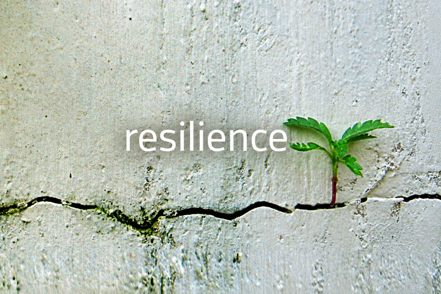 Resilience image.png