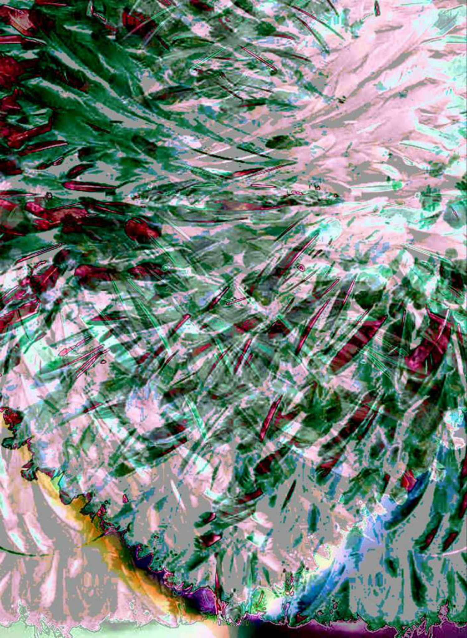 The Red Minnows . 6 January, 2019. . There Are Minnows In The Sea Living A Watered Life Apart From Me And If They’ve Troubles So Do I But We Don’t Talk So I’ll Never Know Why