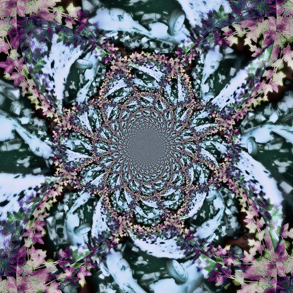 The Tarantula’s (Lovingly Tended) Garden . 18 December, 2018.