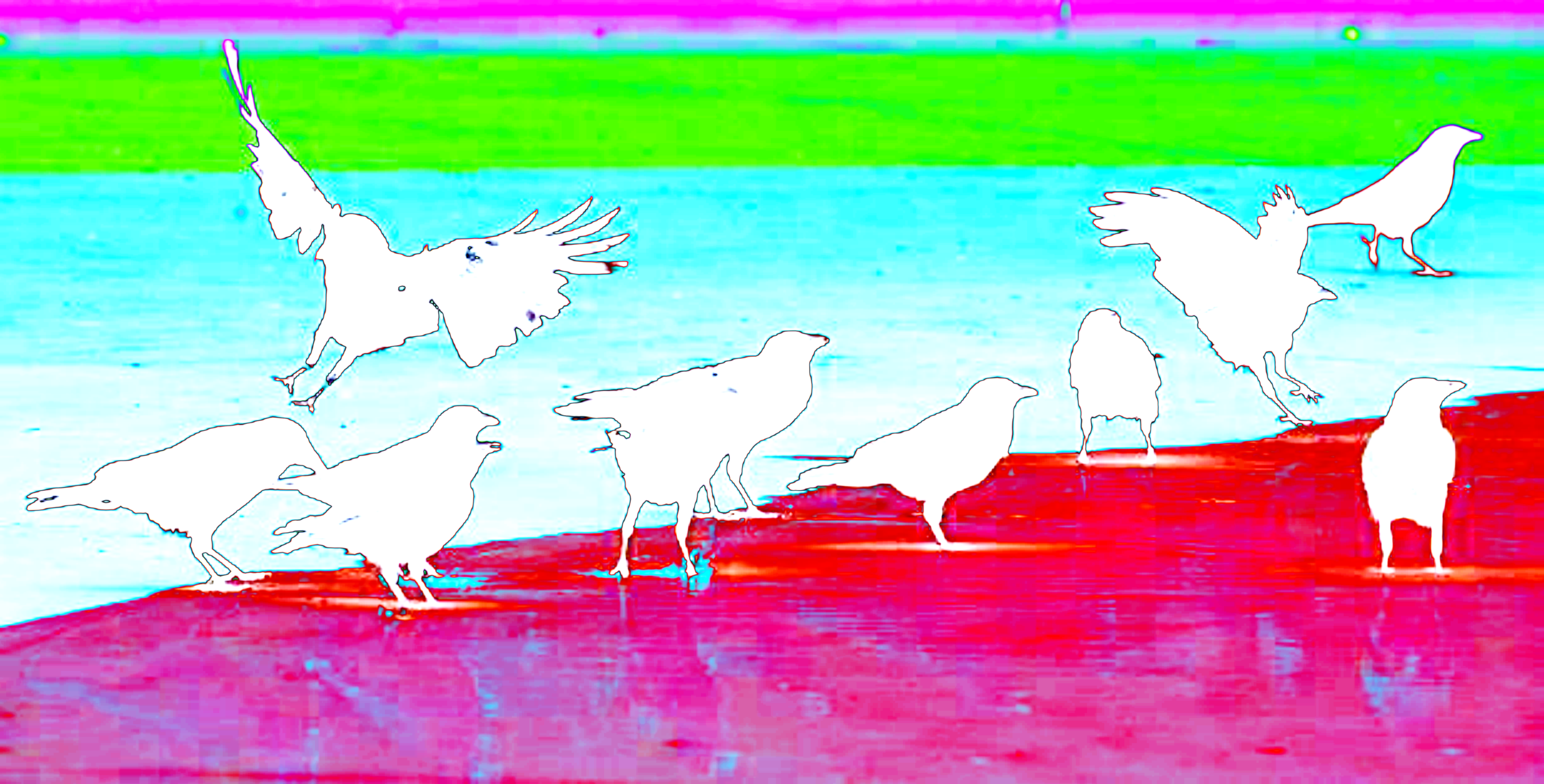 The Crow Coloring Book . 5 February, 2019. . You Can Make Them Red Or Green Or Leave Them Plain If That’s Your Thing But Try To Stay Within The Lines Even If It Takes A Bit More Time