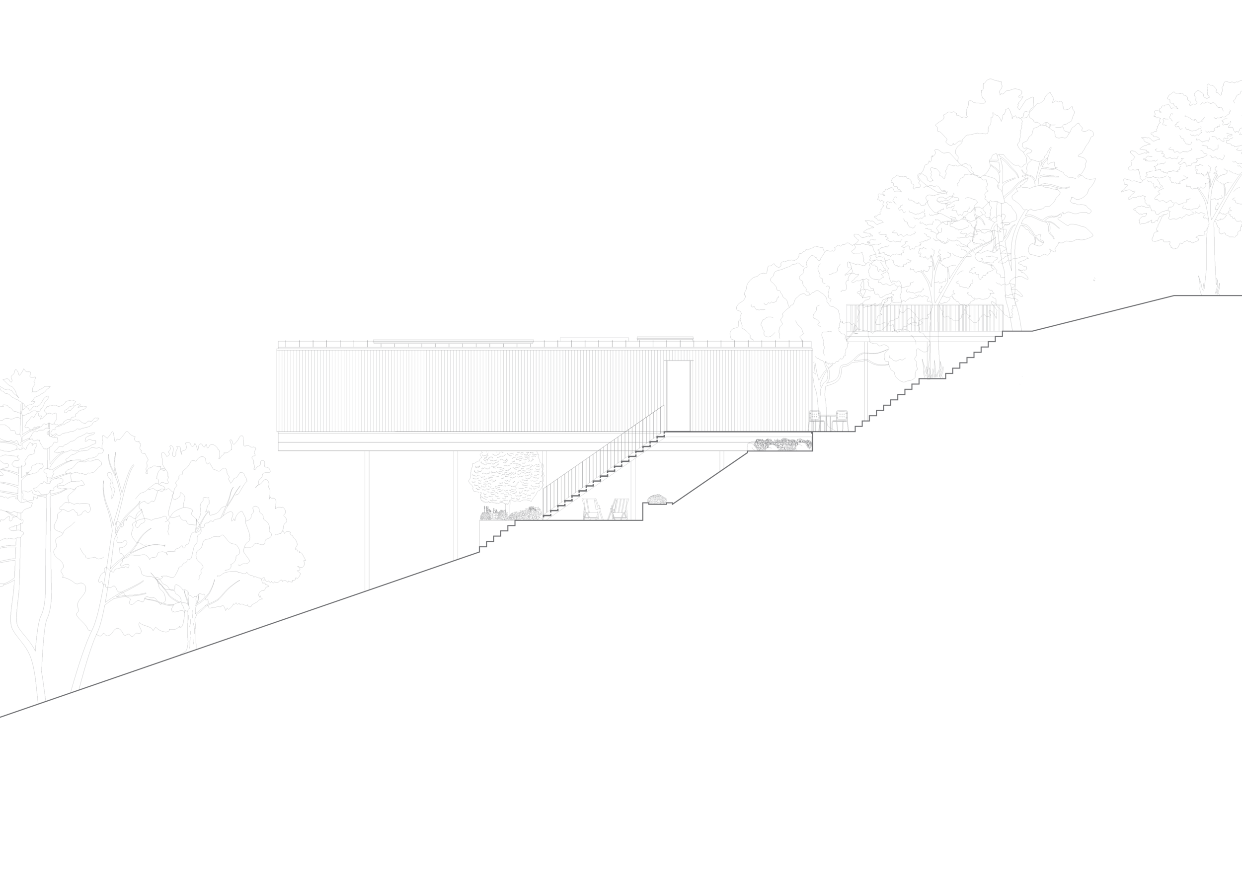 Elevation-01.png