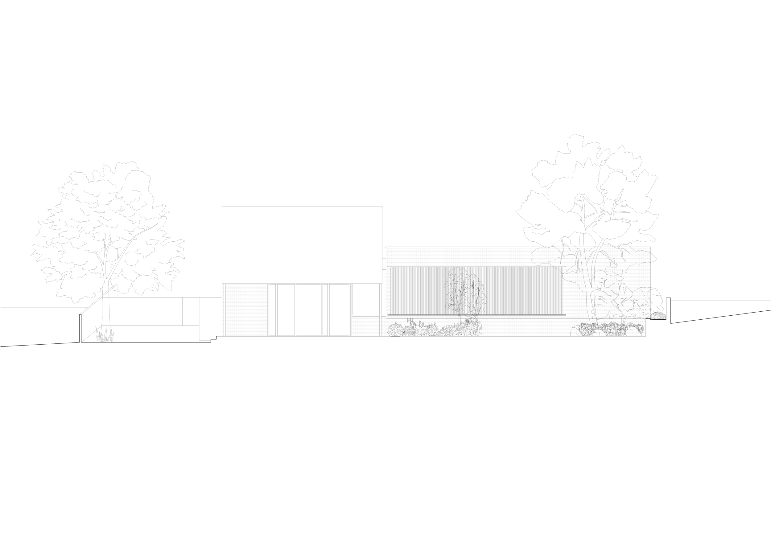 NE_Elevation_01.png