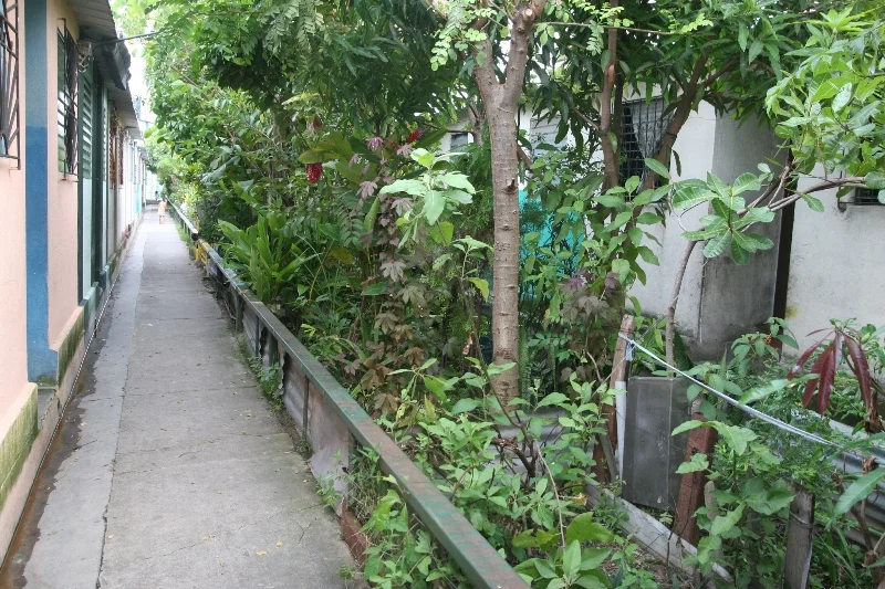 Green spaces