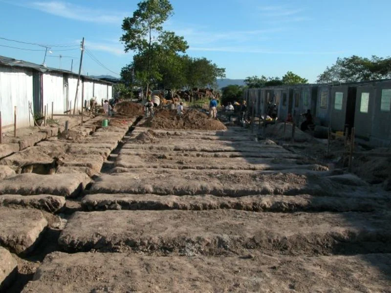 Plots cleared for construction