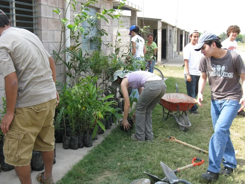 Volunteers sort trees for planting.