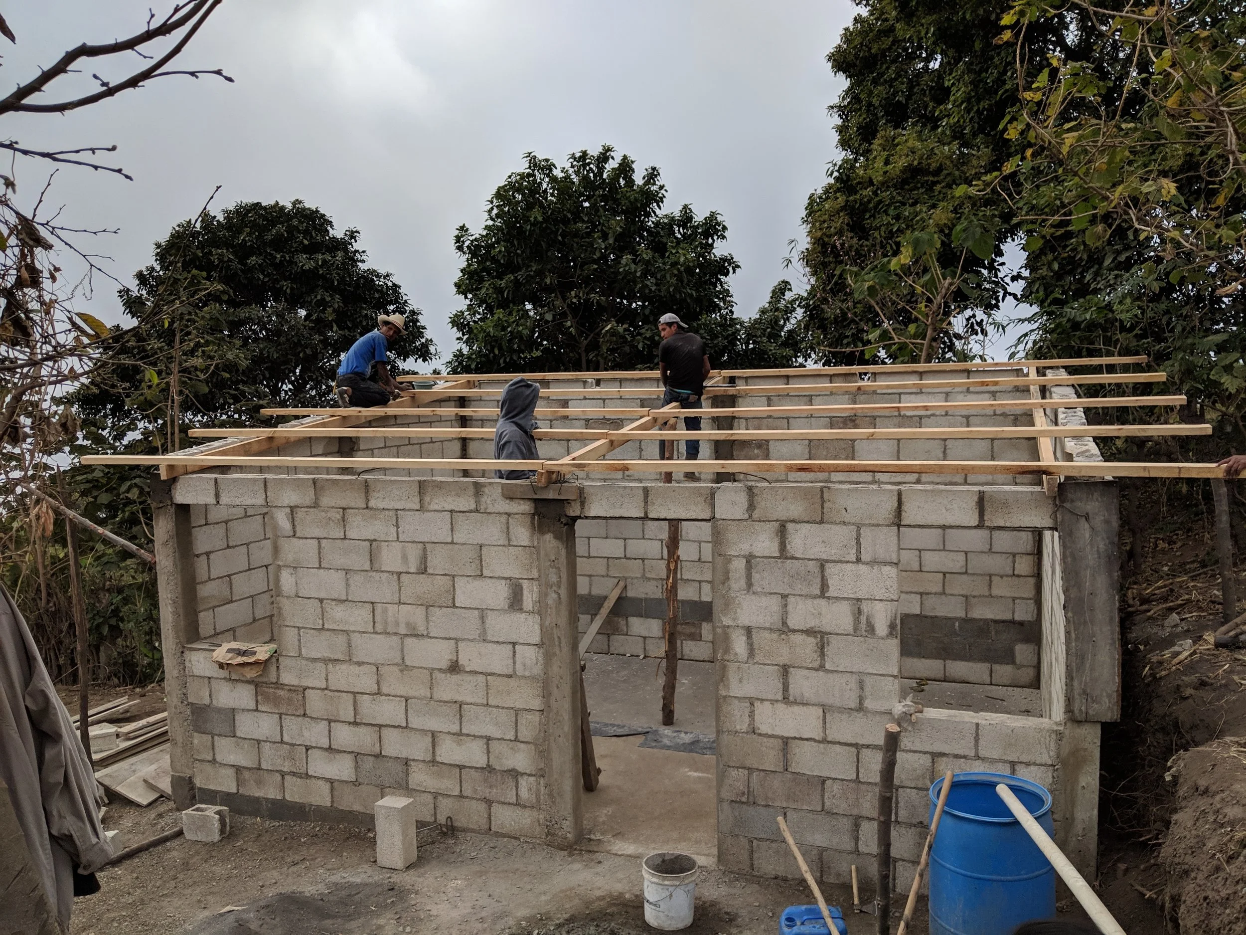 MVIMG_20190315_151954.jpg