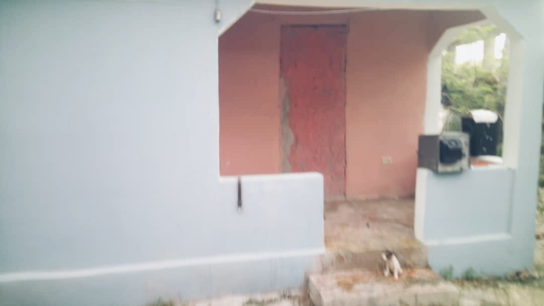 image1 (4).jpeg