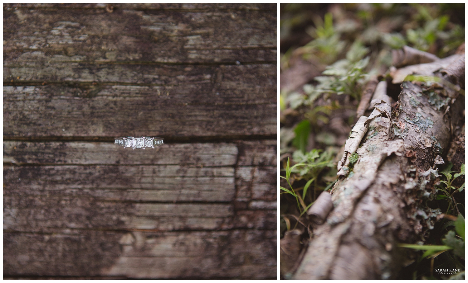 Final - Engagement at Forest Hill Park RVA -  Sarah Kane Photography 139.JPG