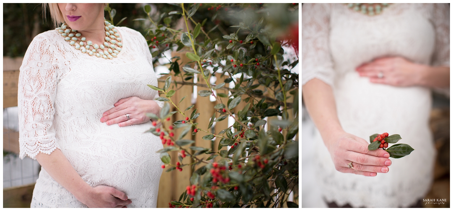 Emily Hudspeth - 021Maternity Photography - Sarah Kane Photography.JPG