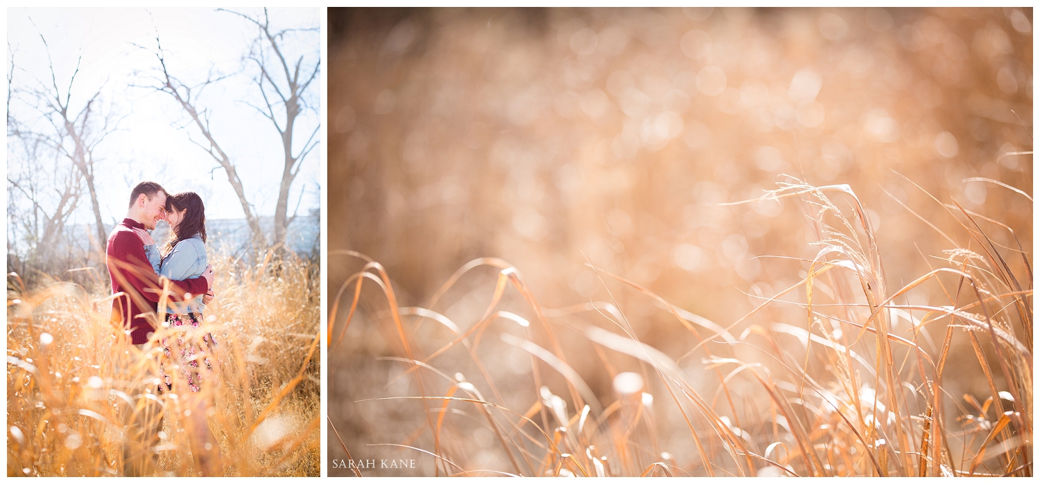 Engagement At Belle Isle RVA - Allison & Dave 107-Sarah Kane Photography.JPG