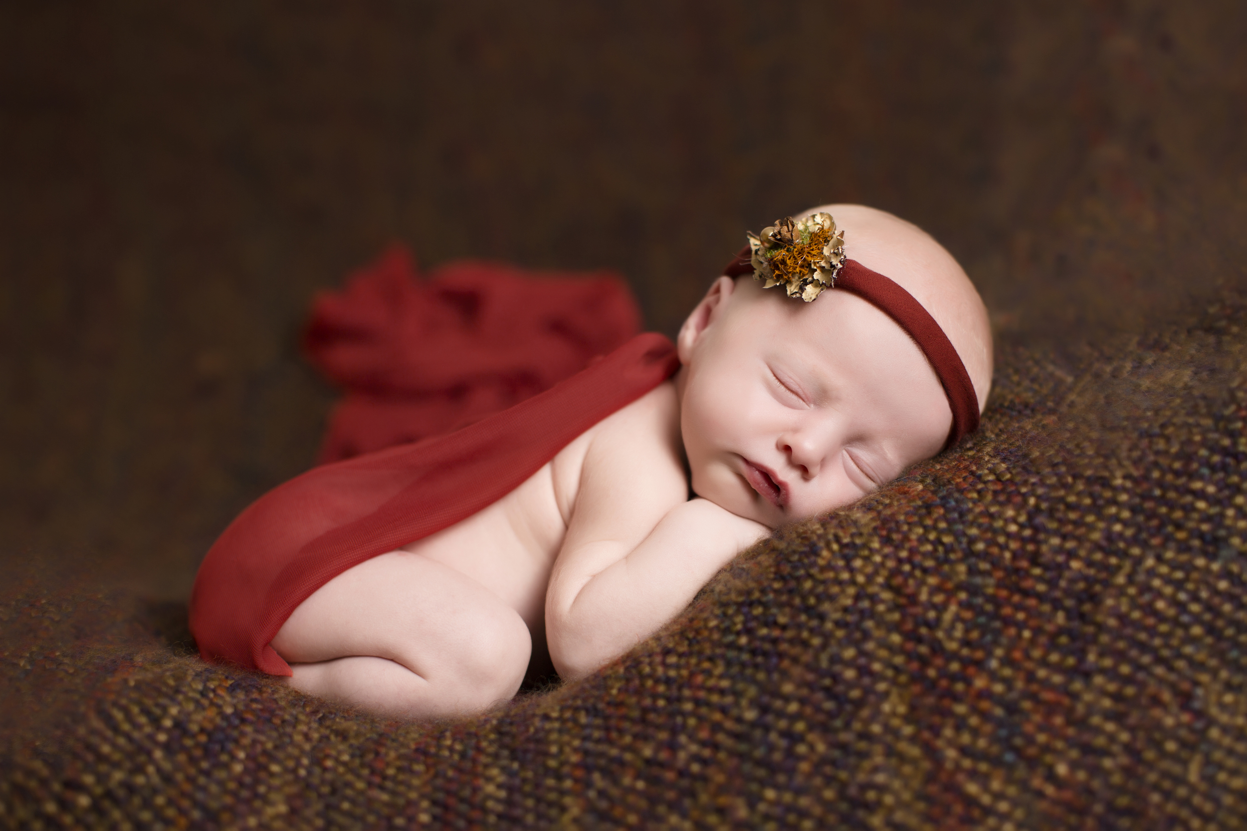 McMillan Newborn Portraits 09.jpg