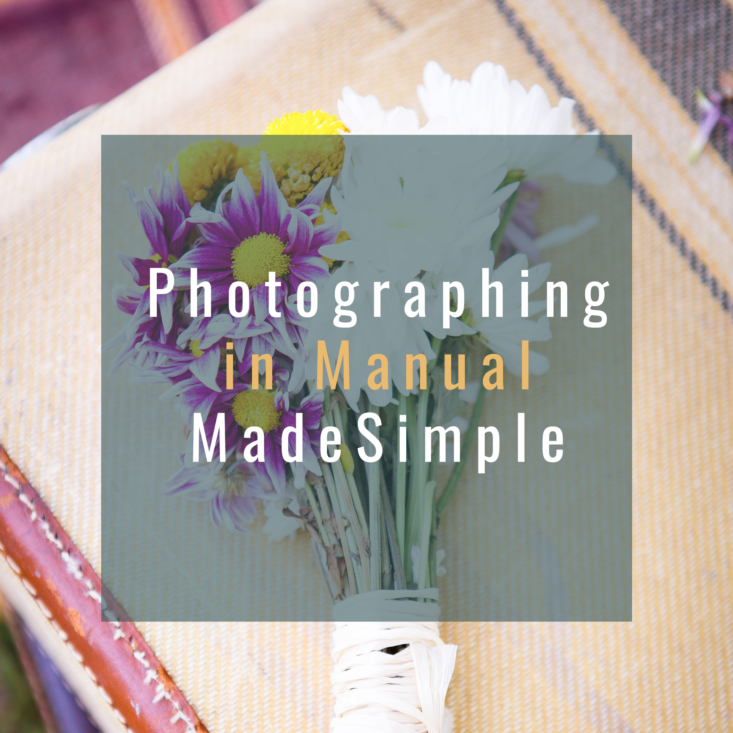 Photographing in Manual Made Simple | Sarah Kane Photography