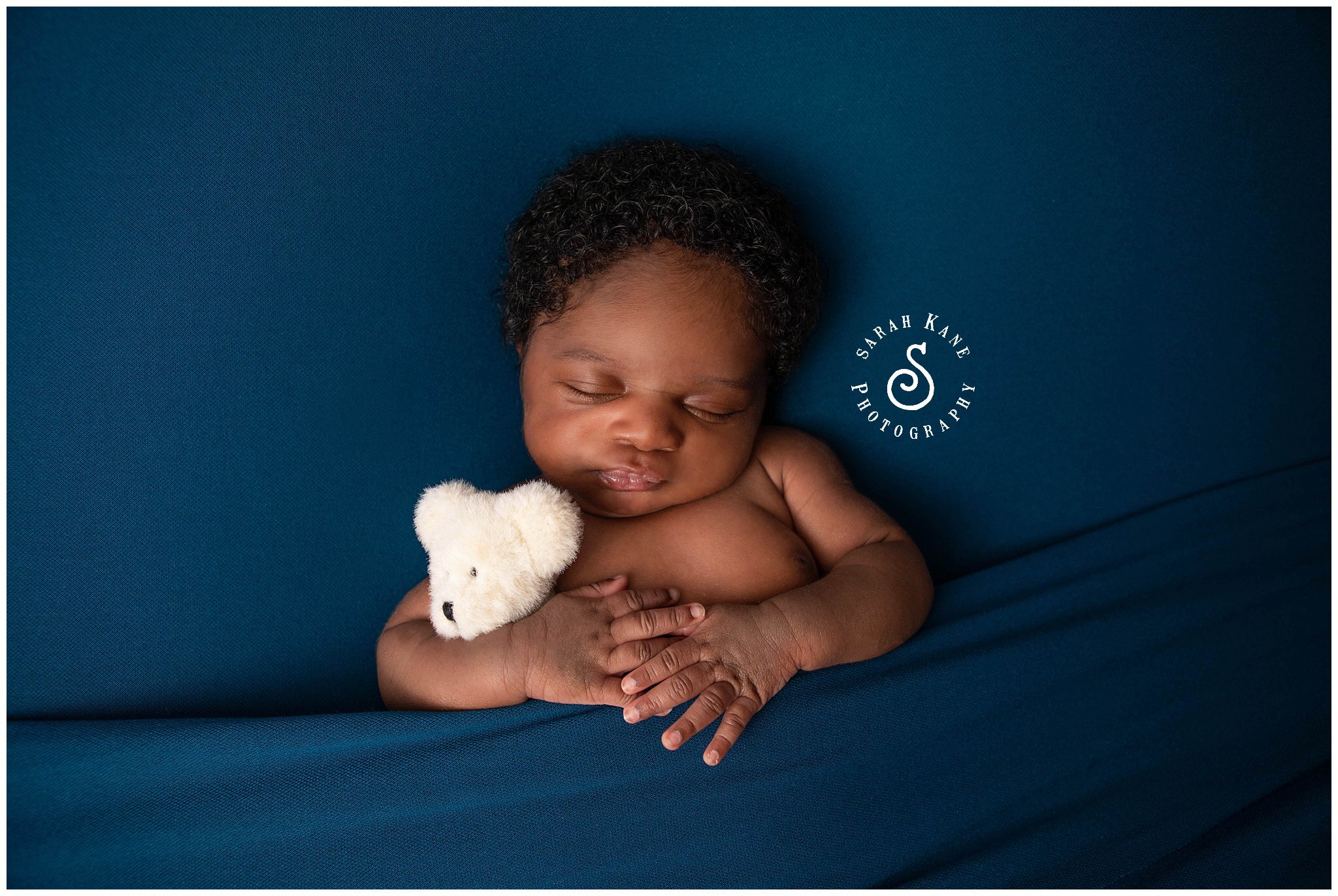 newborn portraits in RVA www.sarahkanephotography.com
