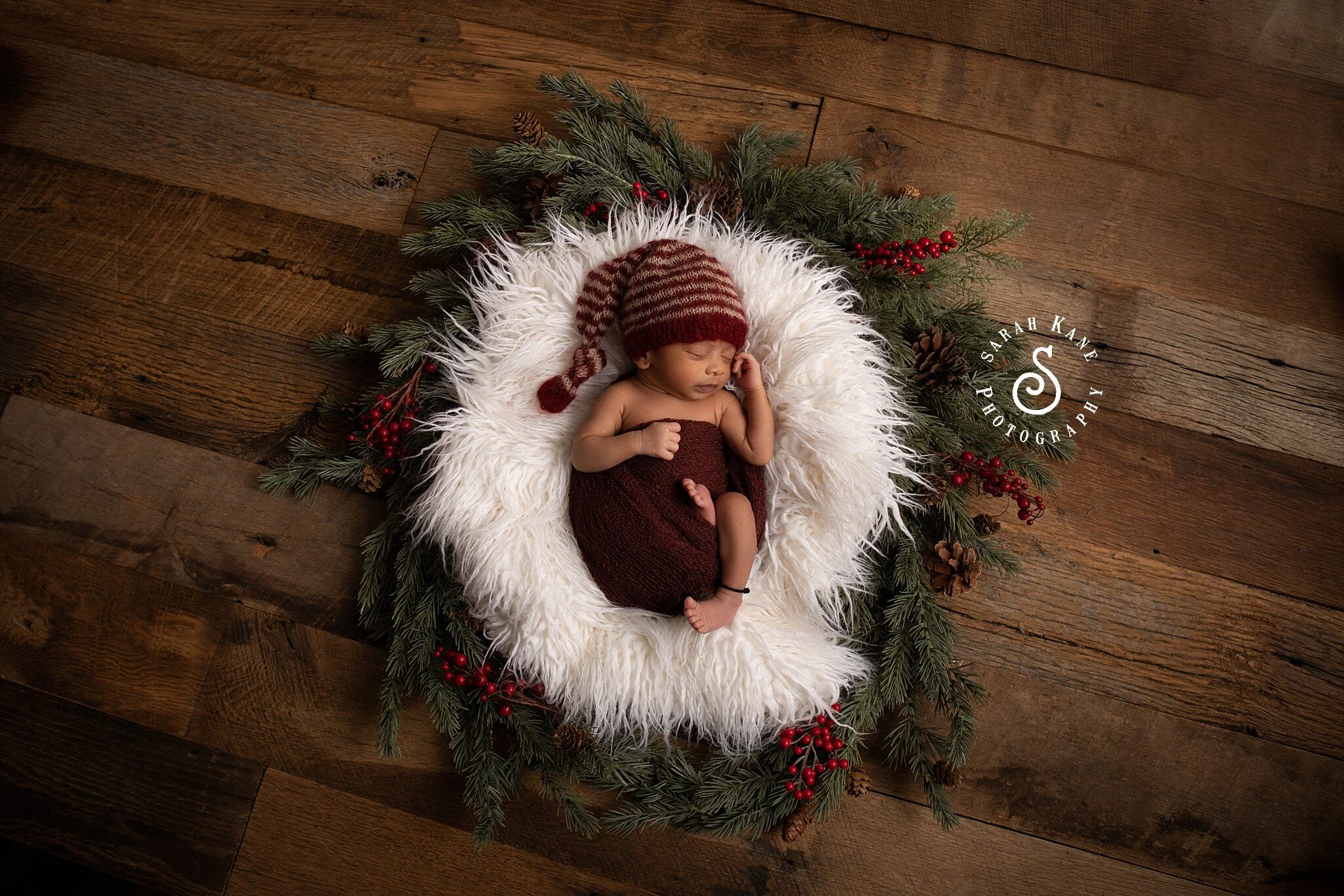 Newborn Pictures in Midlothian Virginia | Richmond's Top Newborn Photographer