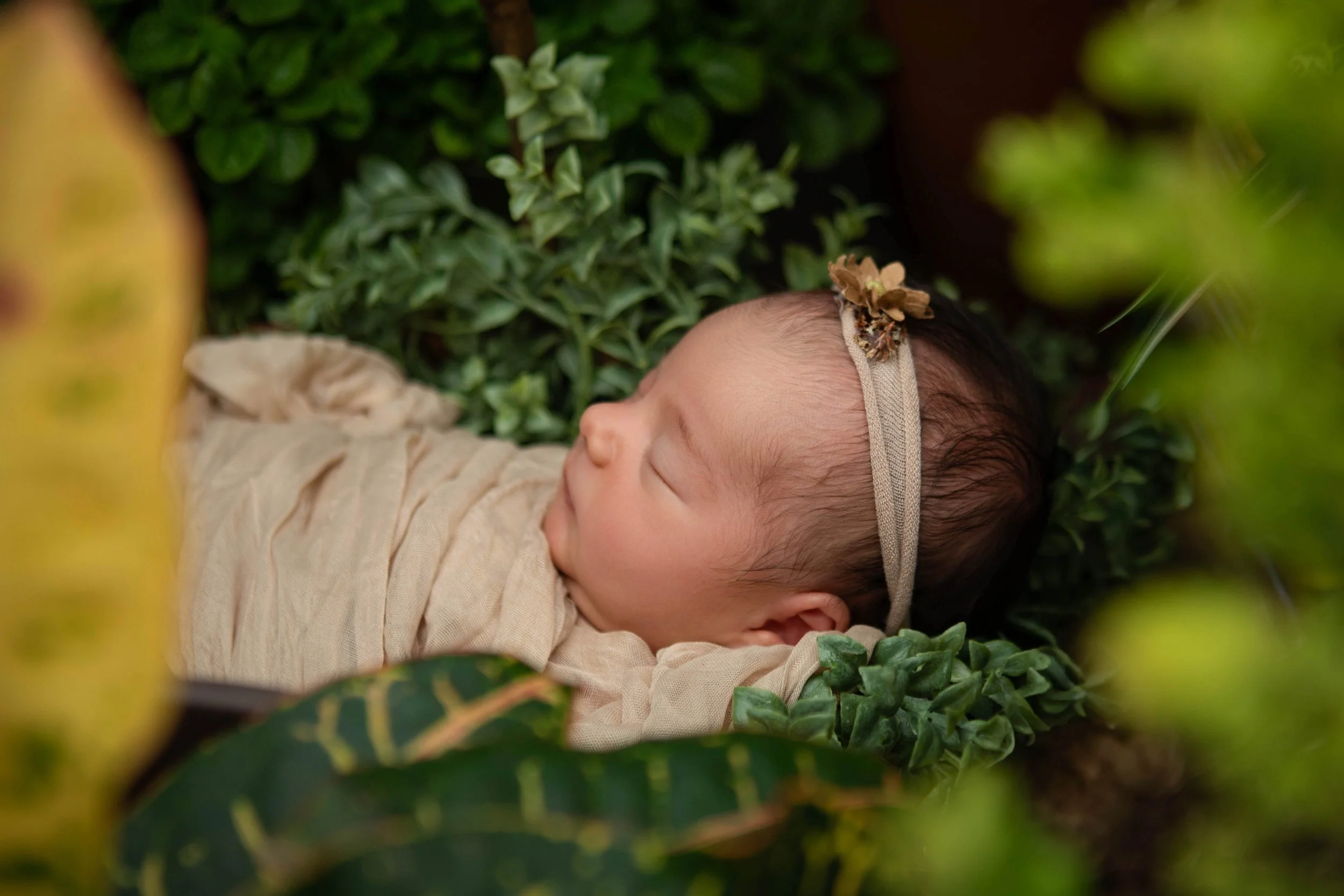 Sarah Kane Photography 36 _.jpg