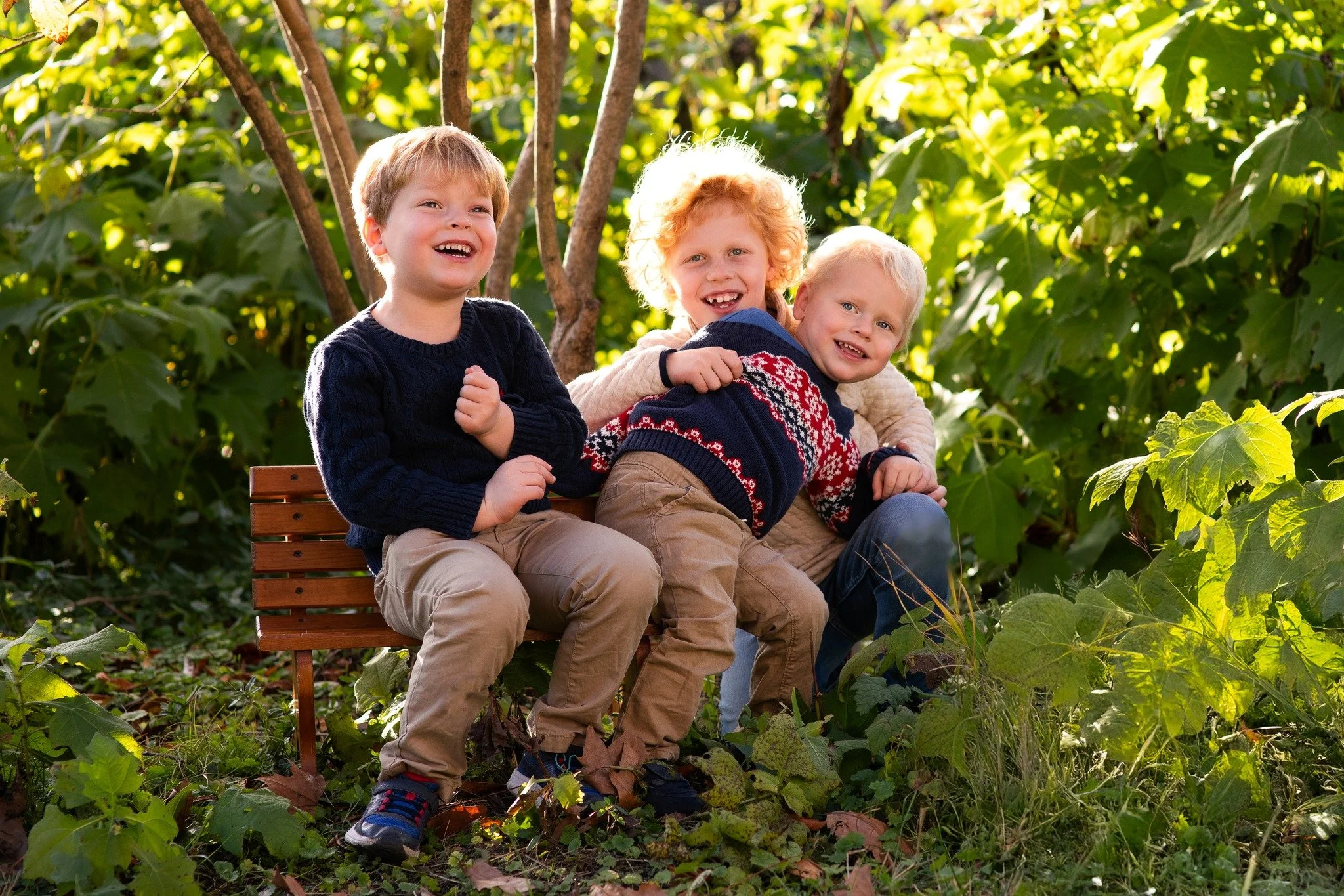 Three brothers. Endless energy. 🍂 From tree climbing to big laughs, these boys brought their whole personalities to this fall family session. I&rsquo;ve been photographing this crew since 2020, back when they were just a family of three, and every y