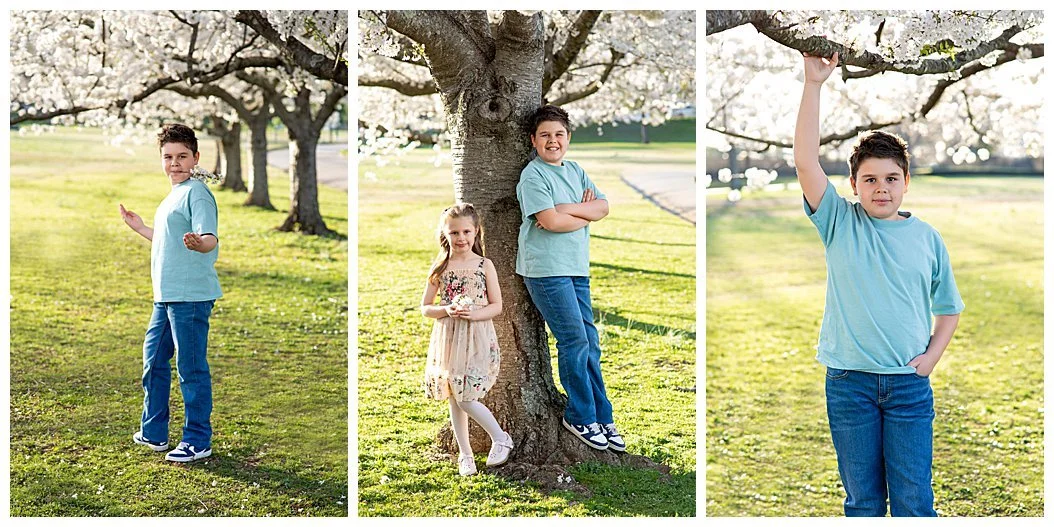 Three photos of children posing beneath a white cherry blossom tree in a park in Richmond Virginia.