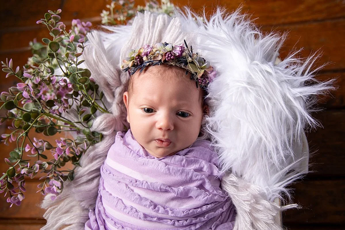Awake newborn girl in lavender ruffle wrap and floral crown on white fur, Sarah Kane Photography