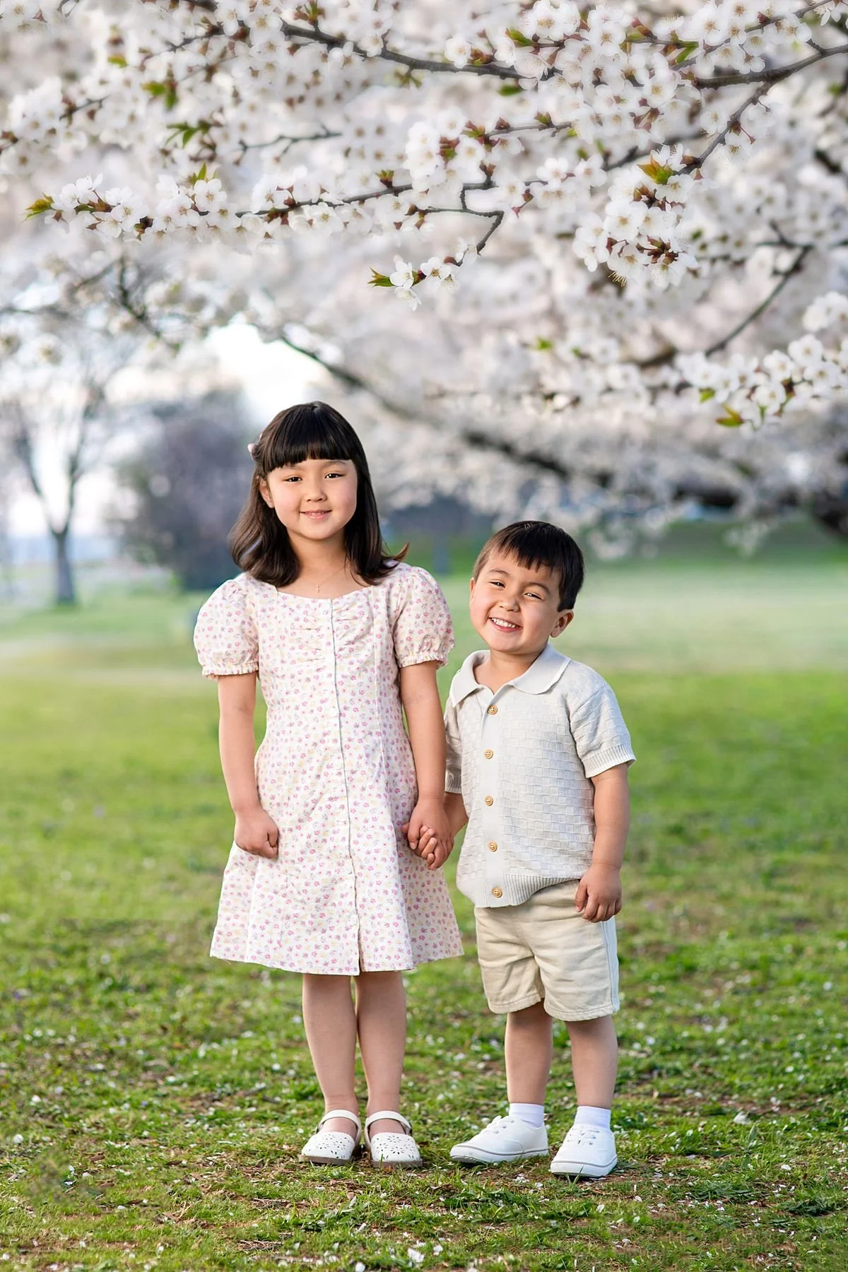 Siblings standing together holding hands under cherry blossom trees during a spring mini session, Sarah Kane Photography, Richmond Virginia