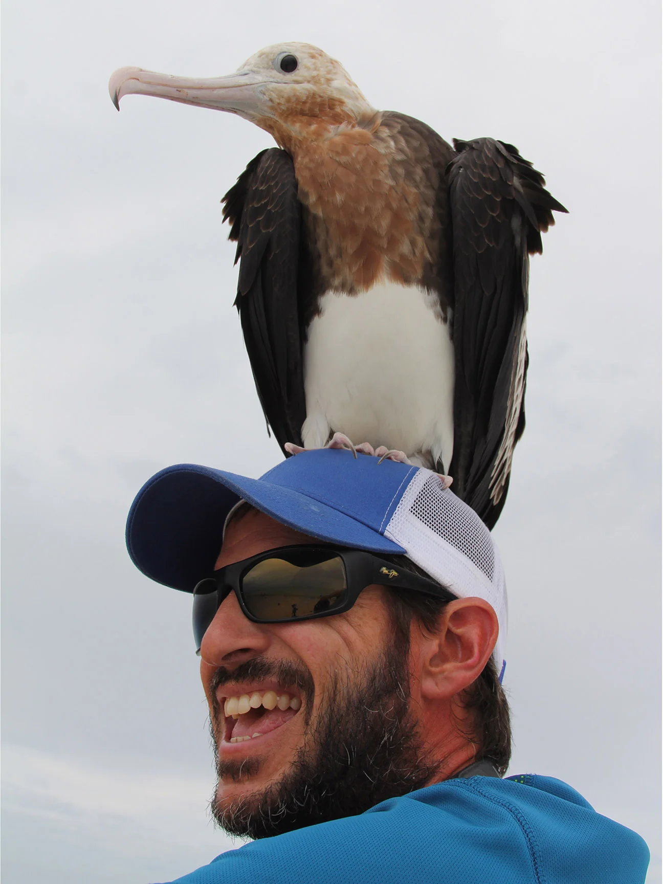 On Pearl and Hermes Atoll in the Papahānaumokuākea Marine National Monument.