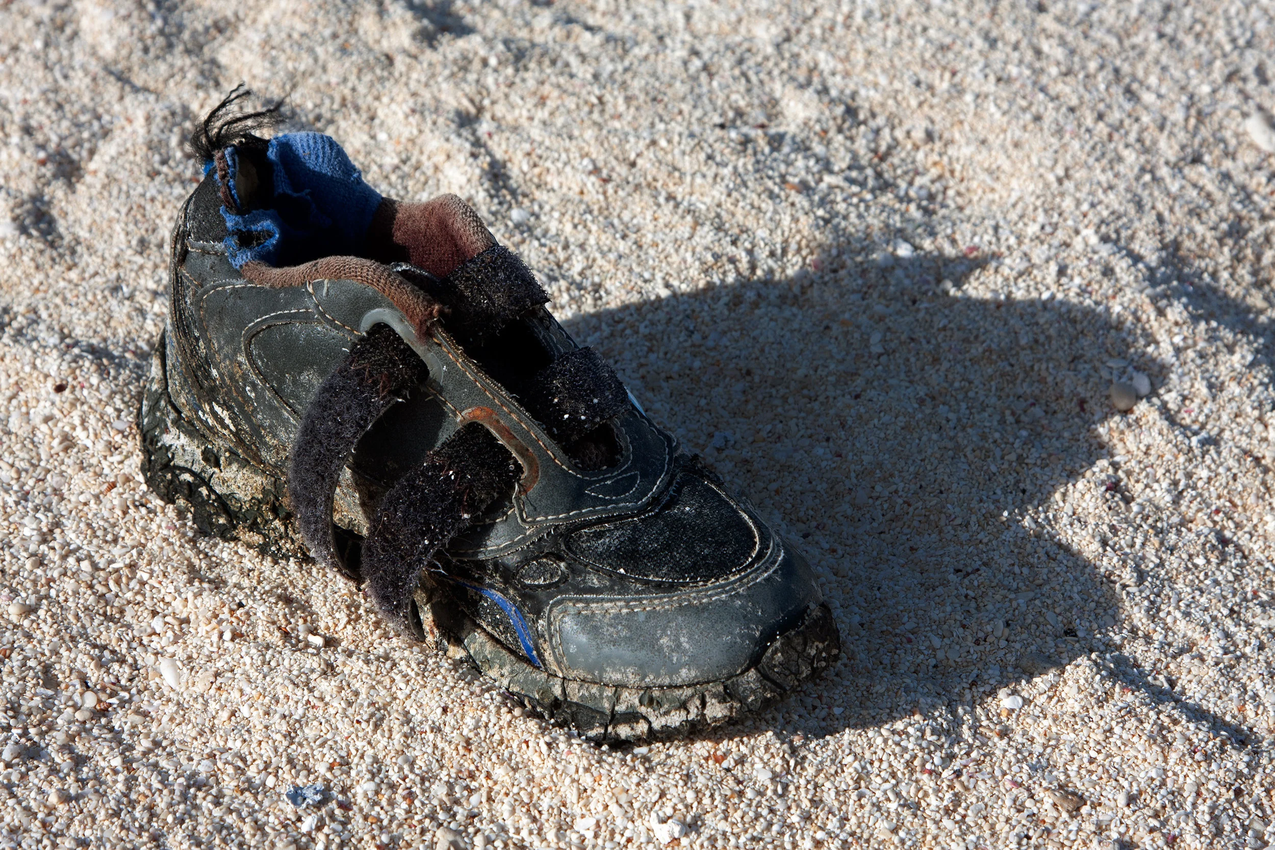 One of hundreds of shoes that have washed ashore in Papahānaumokuākea. ( Pearl and Hermes Atoll )