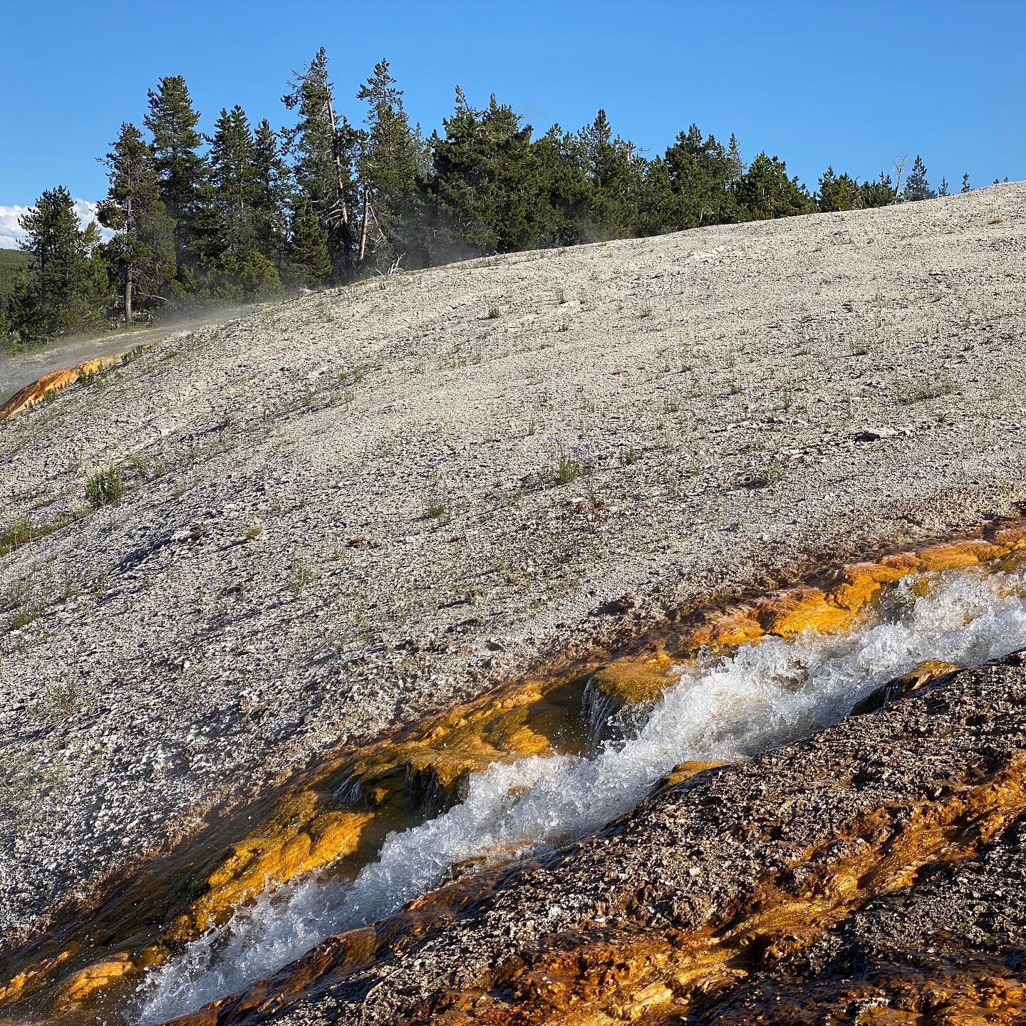 Some colors and textures from Yellowstone. #nationalpark #findyourpark #Yellowstone #Wyoming #geothermal #hotsprings #oldfaithful