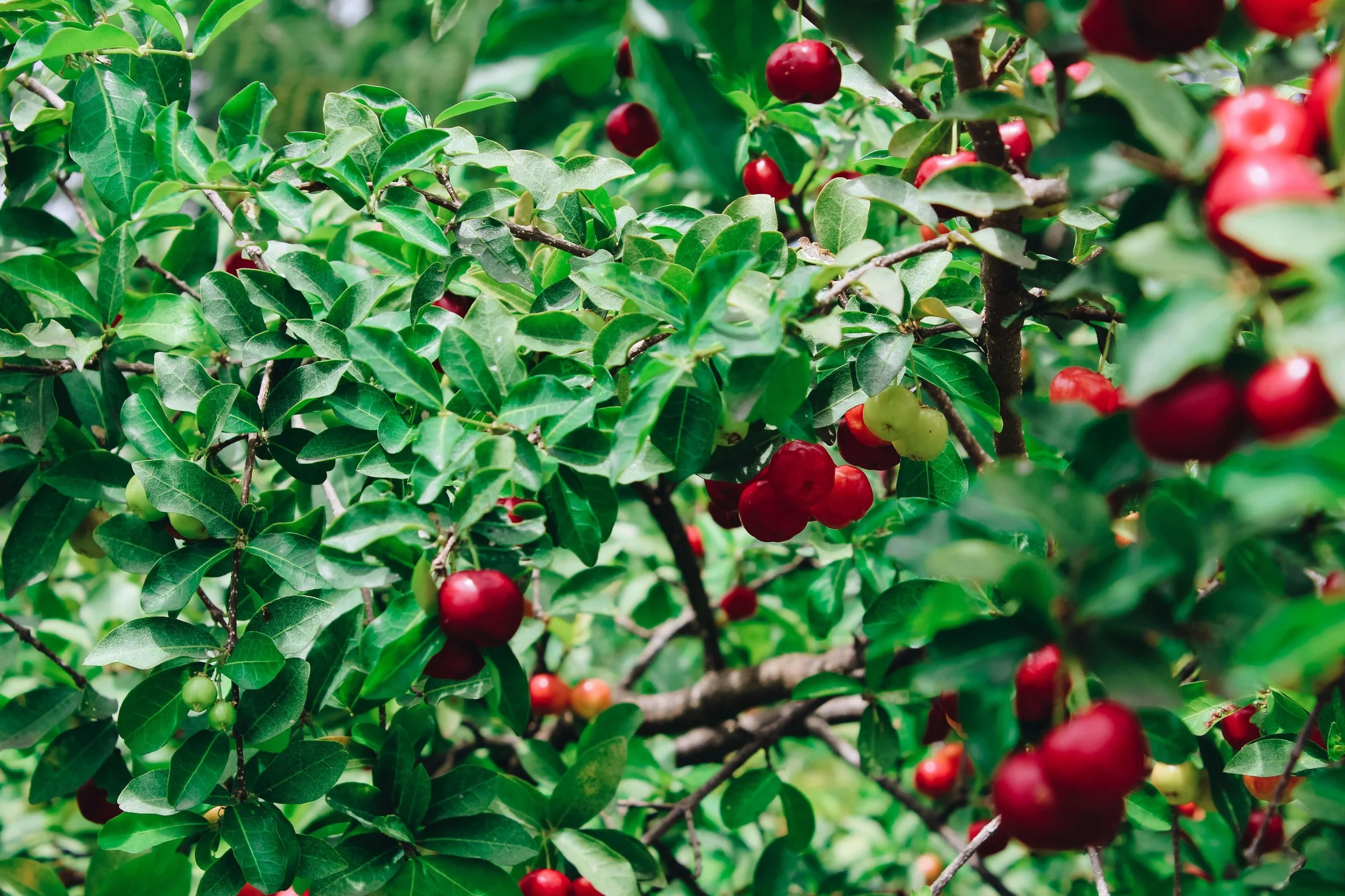 The Battle for Man Unchanged