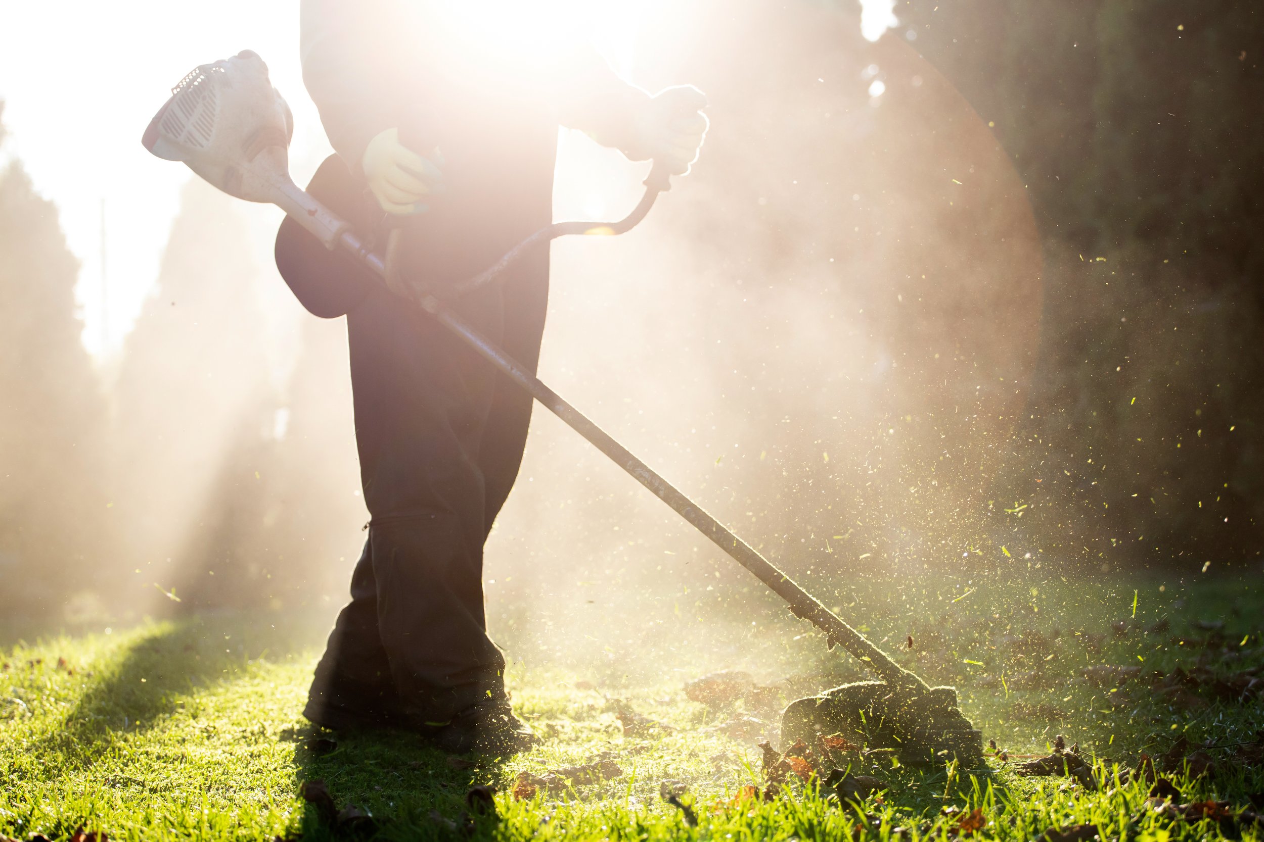 lawn-mover-on-green-grass-machine-for-cutting-law-2022-01-28-10-00-50-utc.jpg