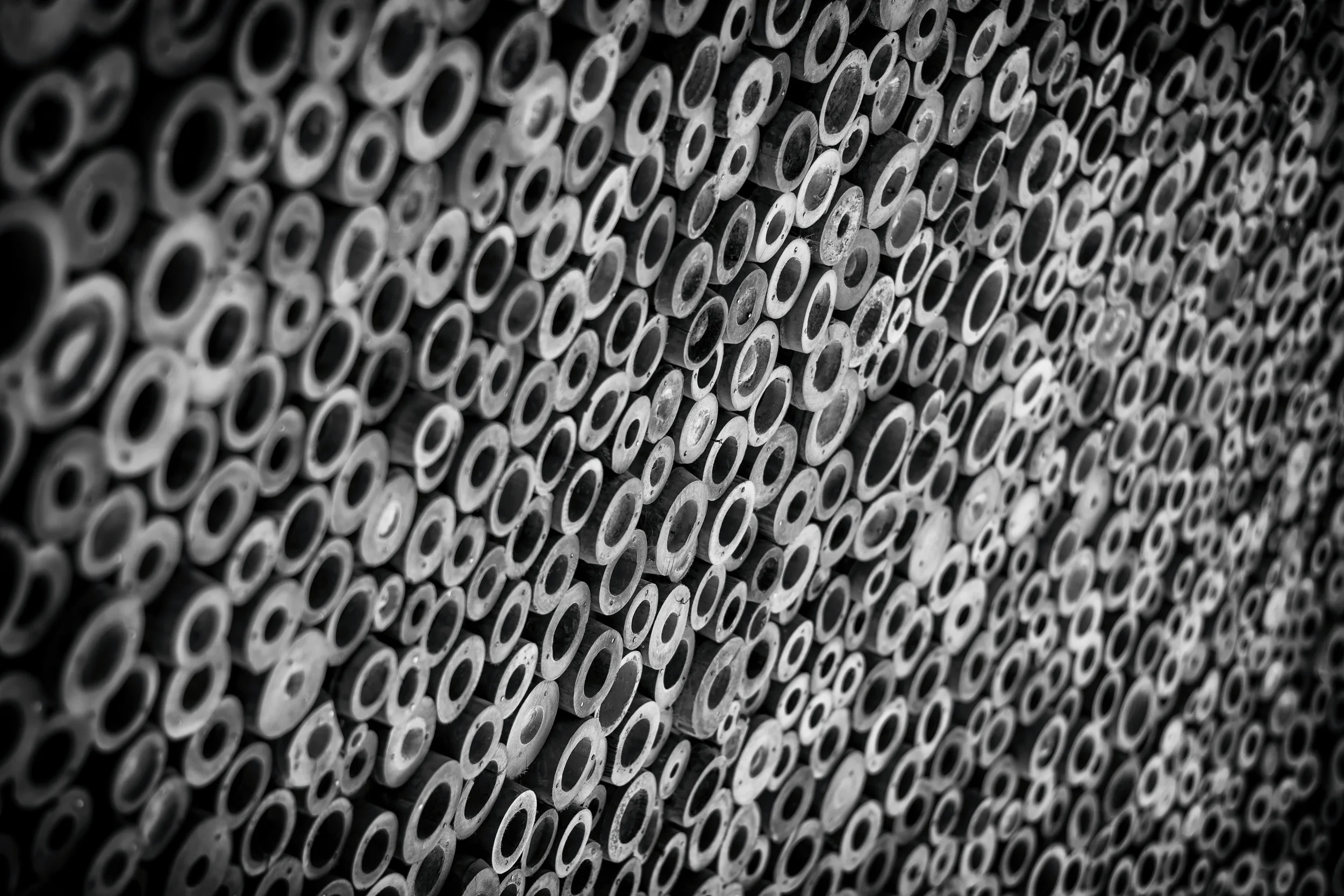 Global Exchange of Information: How Does the U.S. Fit into the Puzzle? Meet the U.S. Foreign Trust