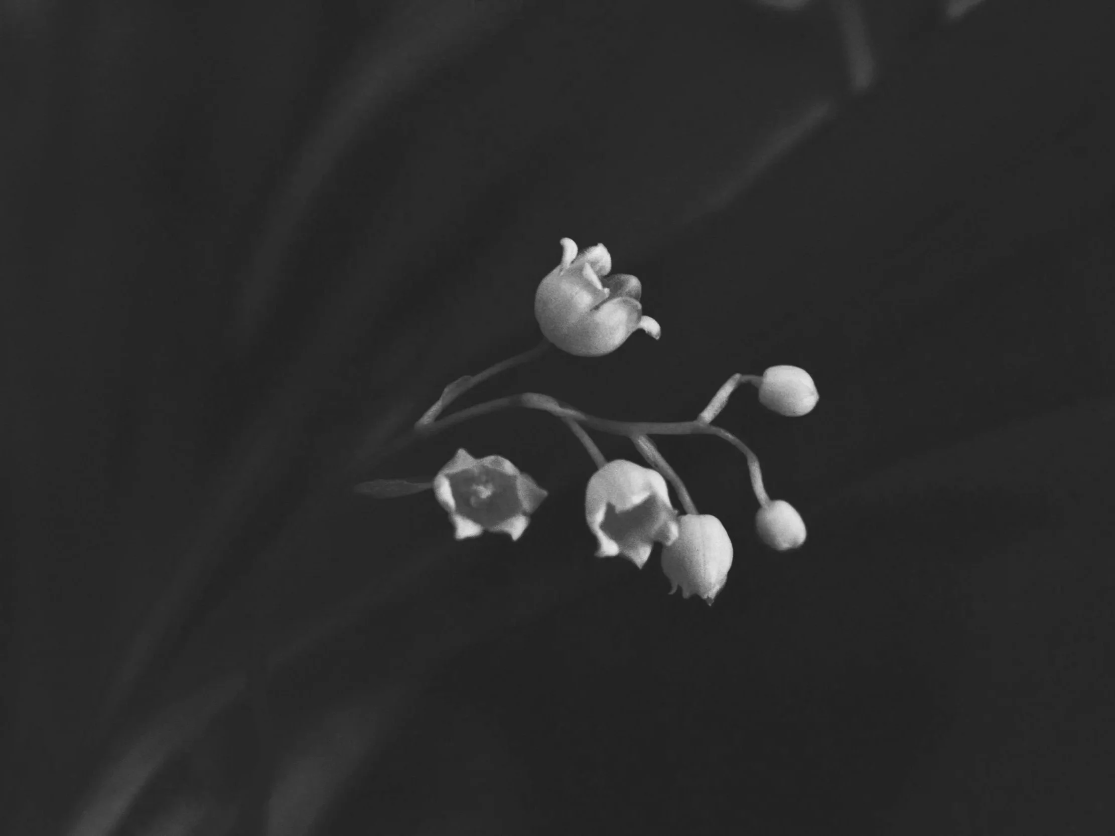 Luxembourg’s New Carried Interest Tax Regime