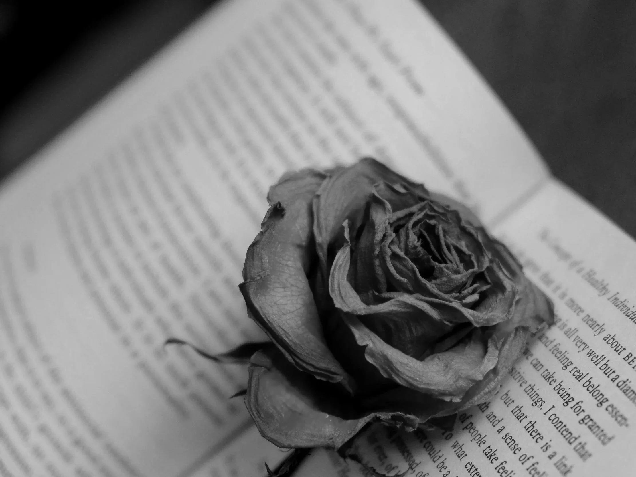 The Final Chapter: Testamentary Instruments for Global Families