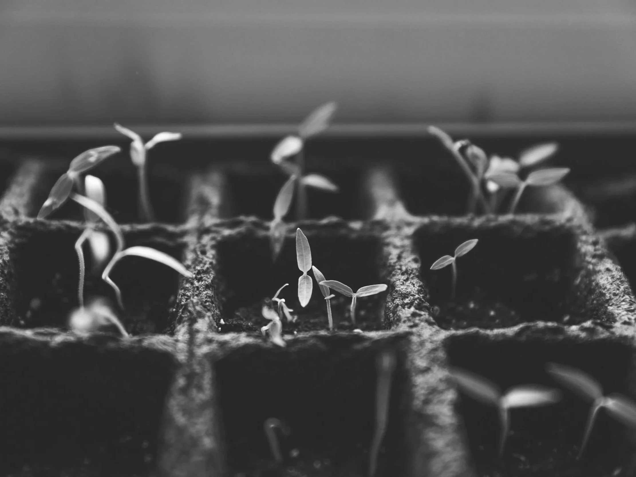 Insights Vol. 13 No. 3: Updates &amp; Other Tidbits