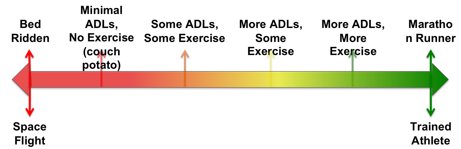 Exercise_Continuum_Figure_071015.png