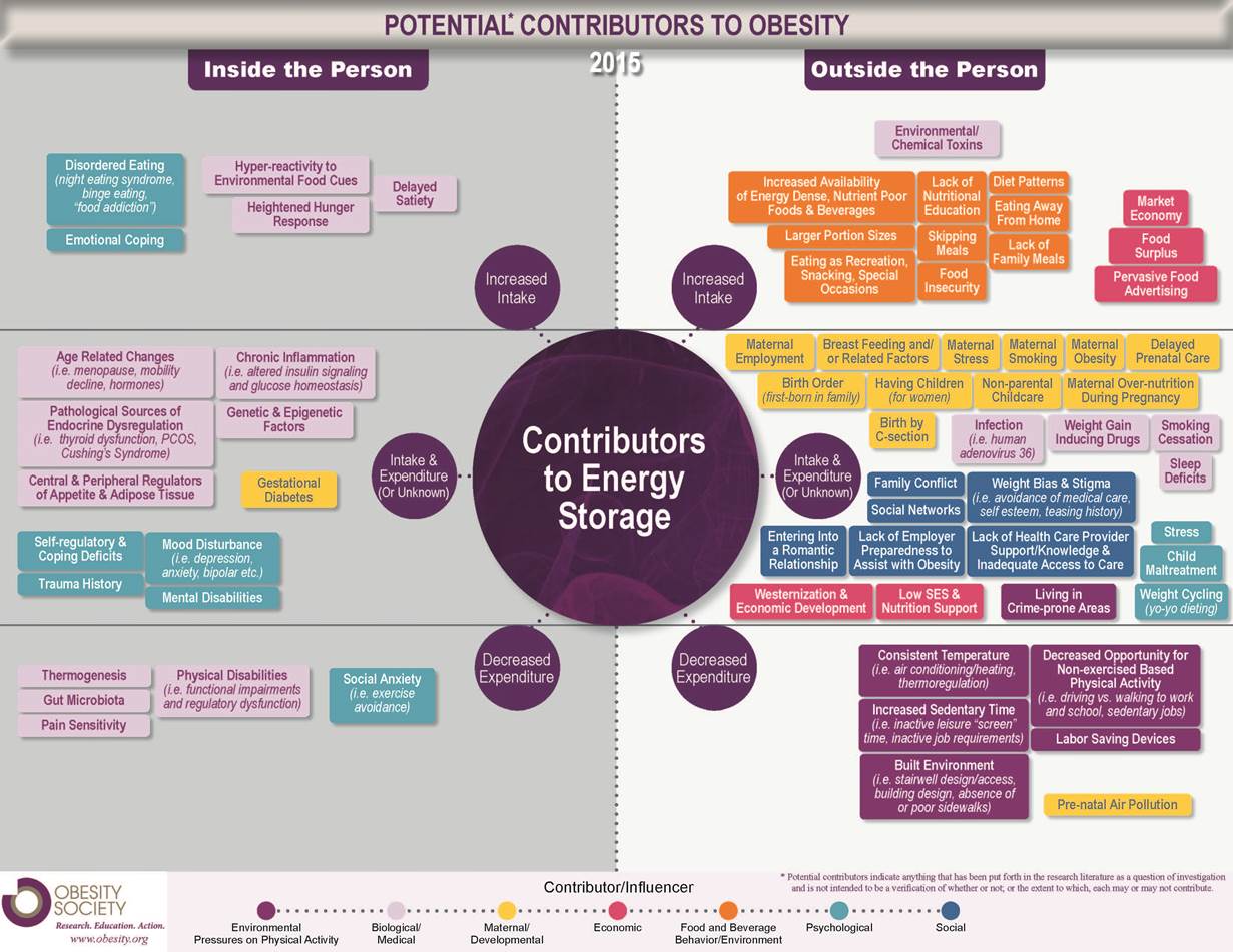 Obesity Society Potential Contributors to Obesity Infographic