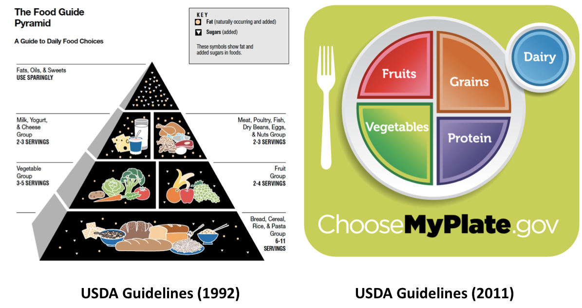 Food Guide Pyramid and MyPlate