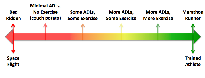 Physical Activity Continuum Body is Demand Driven System