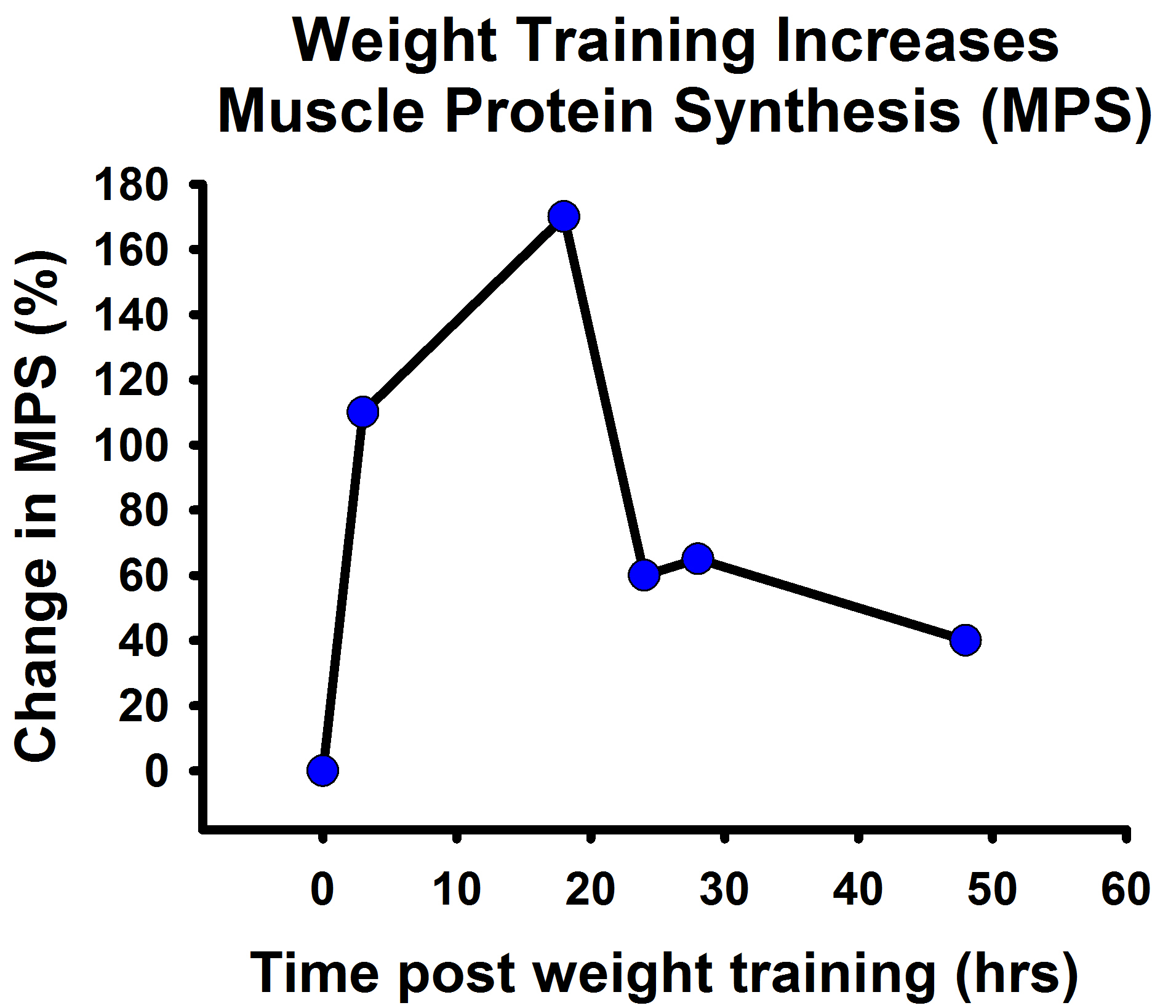 Muscle Protein Synthesis After Weight Training