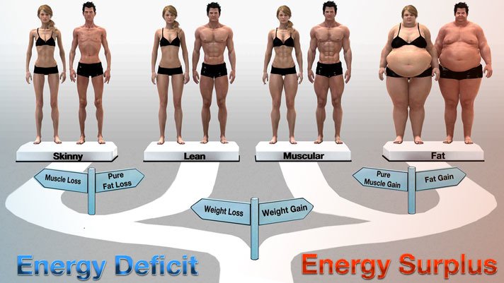 Energy Balance and Body Type