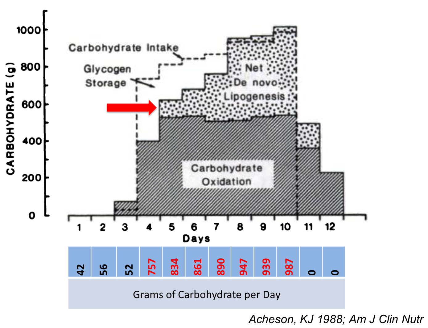 The effect of eating massive amounts of carbohydrate on fat (lipogenesis) and carbohydrate/glycogen storage
