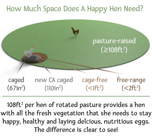 Classification system for caged, cage-free, free-range, and pasture-raised courtesy Vital Farms .