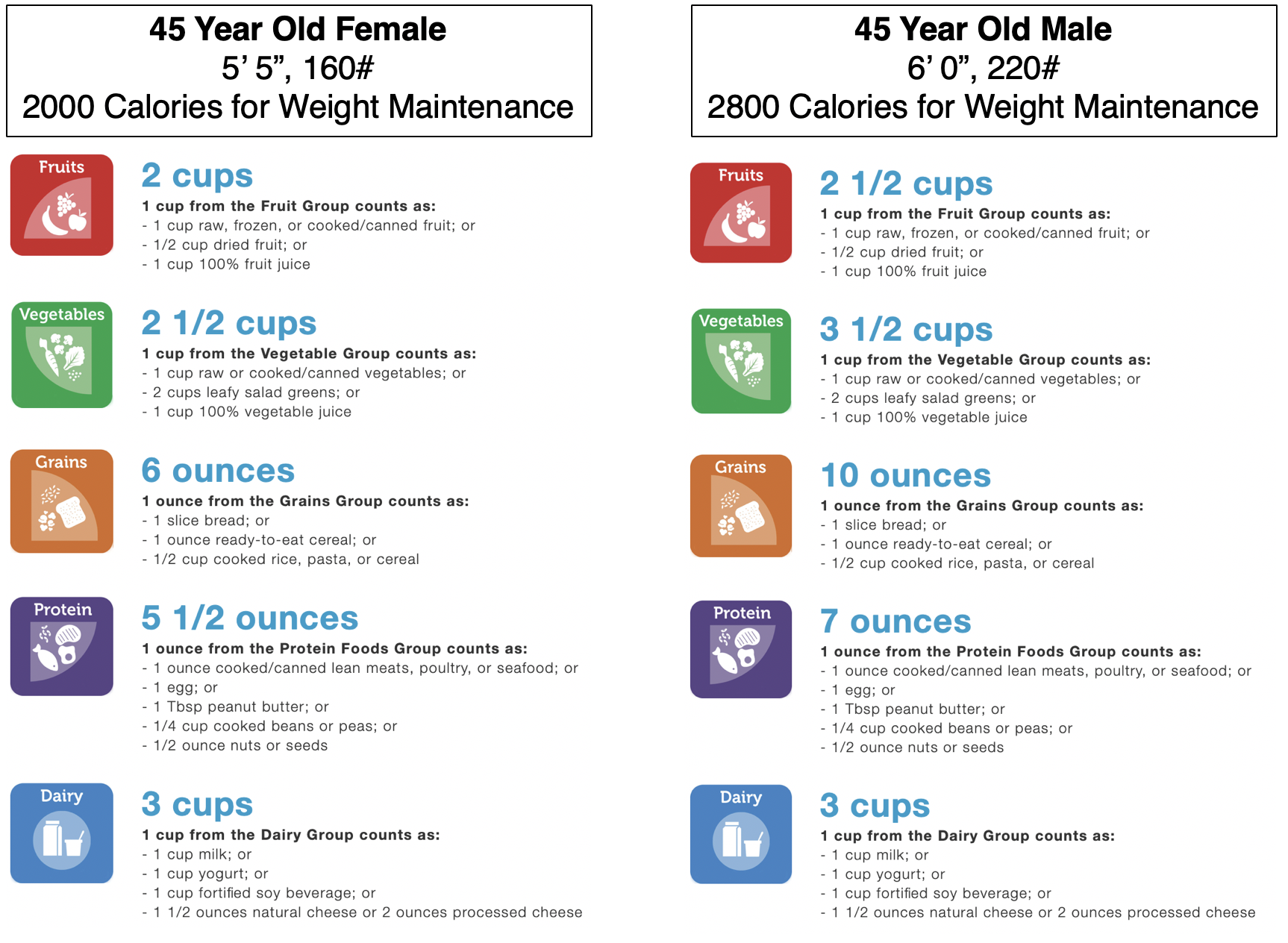 Portion Size Guide Energy Balance Nutrition Consulting EBNC portion-size-guide-energy-balance-nutrition-consulting-ebnc
